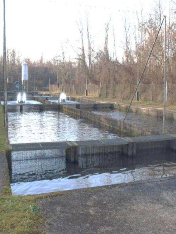 Fischzuchtanlage Hartl Ranshofen